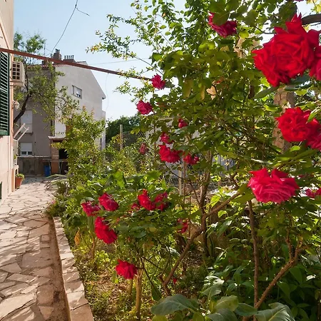 Apartment Vedrana *