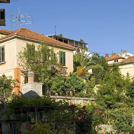 Vedrana Split